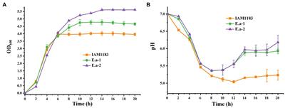 Metabolic Engineering of <mark class="highlighted">Enterobacter aerogenes</mark> for Improved 2,3-Butanediol Production by Manipulating NADH Levels and Overexpressing the Small RNA RyhB
